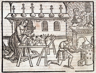 Medicina attraverso le piante e le loro virtù - in Des profits champêtres et ruraux di Pierre de Crescent, Parigi da Piero da Crescentino