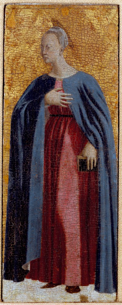 Polittico della Misericordia: la Vergine della Misericordia, circondata da santi (dettaglio) da Piero della Francesca