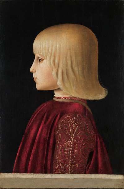Ritratto di un ragazzo Guidobaldo Da Montefeltro, ca. 1479 da Piero della Francesca
