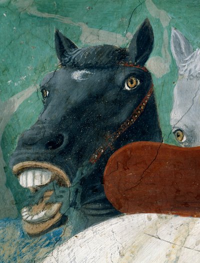 La leggenda della Vera Croce (dettaglio di un cavallo) da Piero della Francesca