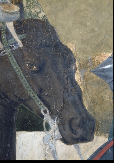 La leggenda della Vera Croce (dettaglio della testa dei cavalli) da Piero della Francesca