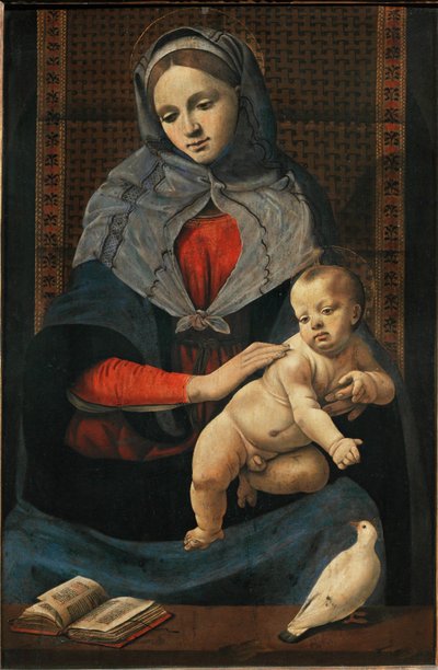 Madonna con bambino e colomba ... da Piero di Cosimo