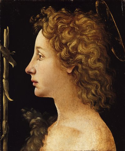 Il Giovane San Giovanni Battista da Piero di Cosimo