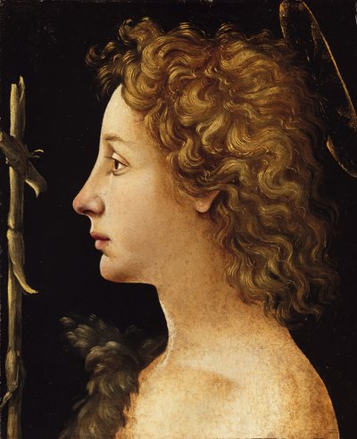 Il Giovane San Giovanni Battista da Piero di Cosimo