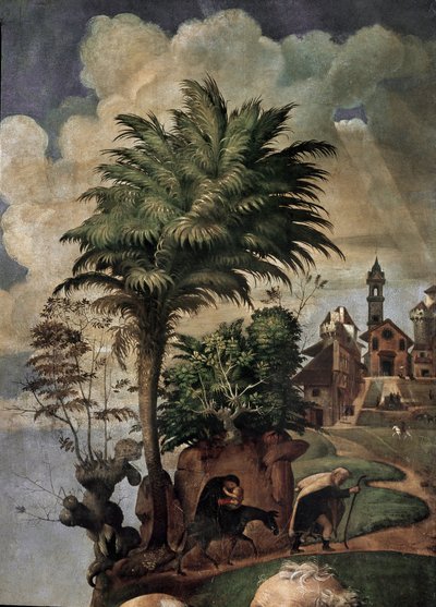 Madonna col Bambino in trono circondata da santi (dettaglio) da Piero di Cosimo