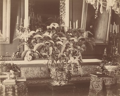 Interno, anni 