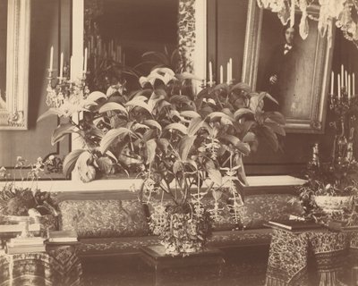 Interno da Pierre Ambrose Richebourg