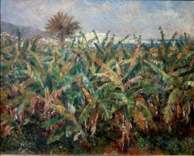 Campo di banane da Pierre Auguste Renoir