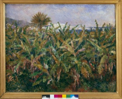 Campo di banani da Pierre Auguste Renoir
