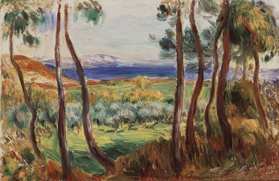 Pini nei dintorni di Cagnes, c. 1910 da Pierre Auguste Renoir
