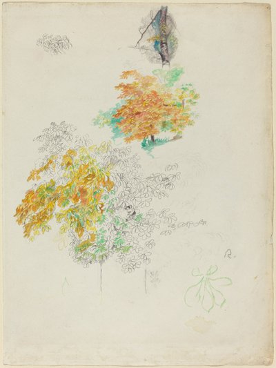 Studi di alberi da Pierre Auguste Renoir