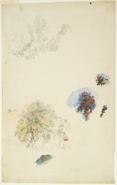 Studi di alberi e fogliame da Pierre Auguste Renoir