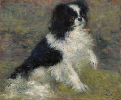 Tama, il cane giapponese, c.1876 da Pierre Auguste Renoir