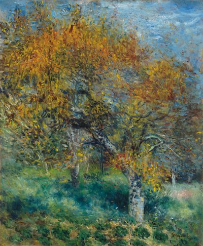Il pero; Le Poirier, c.1870 da Pierre Auguste Renoir