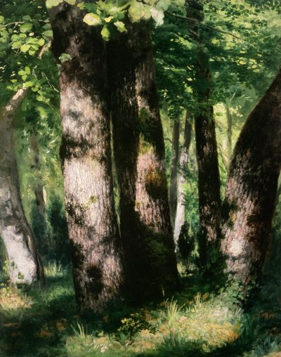 Immagine sconosciuta da Pierre Auguste Renoir