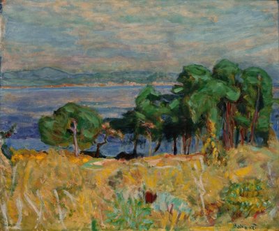 La baia di Saint-Tropez da Pierre Bonnard