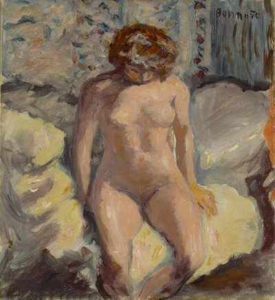 Nudo femminile da Pierre Bonnard