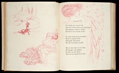 Illustrazione da 