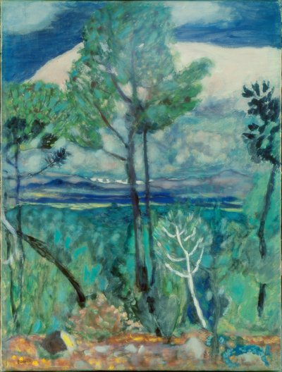 Paesaggio da Pierre Bonnard