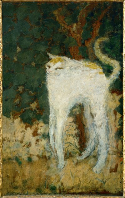 Il gatto bianco da Pierre Bonnard