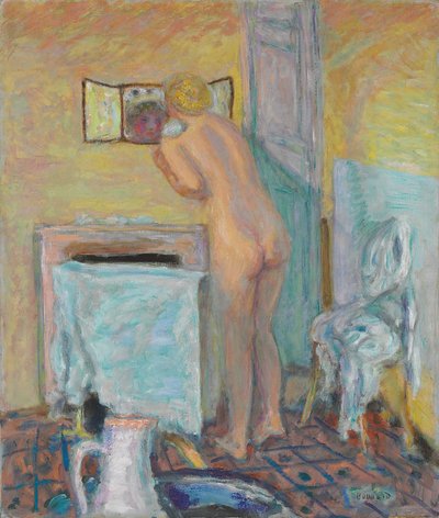 Nudo davanti allo specchio o bagnante da Pierre Bonnard