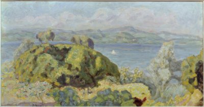 Paesaggio o Bel tempo tempestoso da Pierre Bonnard