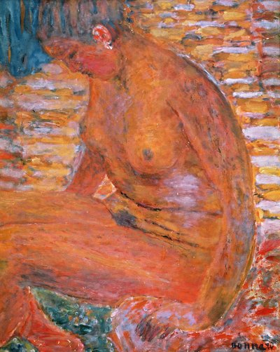 Nudo cupo da Pierre Bonnard