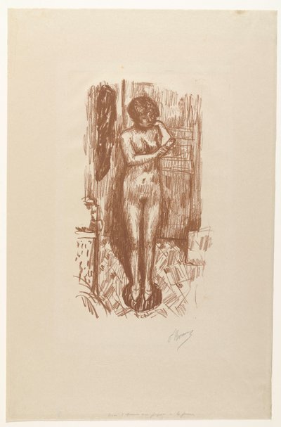 Donna nuda seduta si lava da Pierre Bonnard