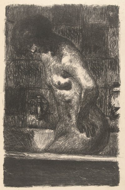 Donna nuda in piedi si lava nella vasca da Pierre Bonnard
