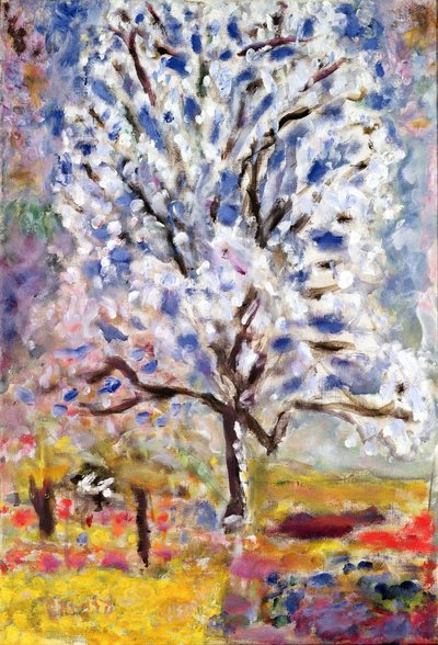 Il Mandorlo in Fiore, 1947 da Pierre Bonnard