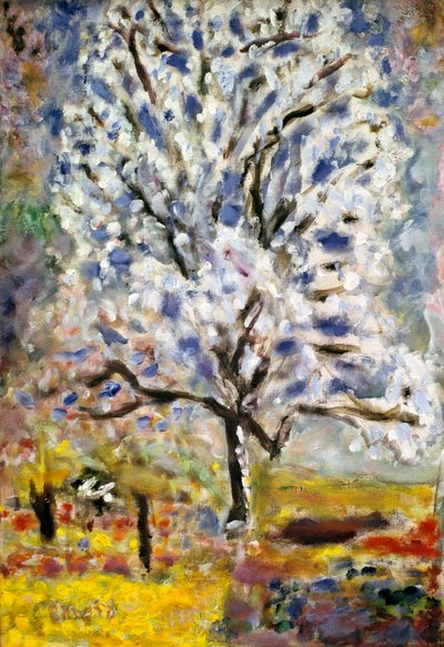 Il mandorlo in fiore da Pierre Bonnard