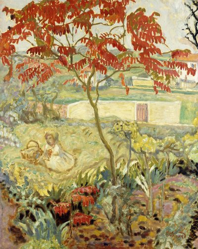 Il giardino e l