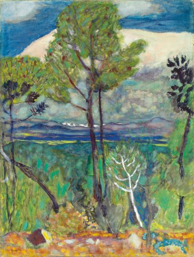 I pini, vicino al mare, c.1923 da Pierre Bonnard