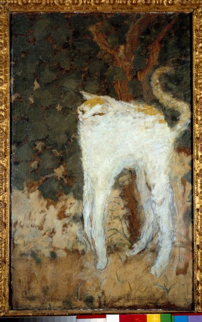 Il gatto bianco da Pierre Bonnard