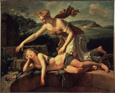 Il bambino e la Fortuna da Pierre Bouillon