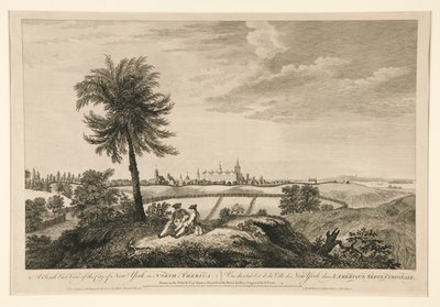 Vista sud-est della città di New York, in Nord America da Pierre Charles Canot