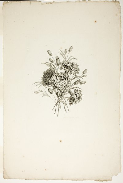 Bouquet con garofani, dalla Collezione di diversi bouquet di fiori, inventati e disegnati da Jean Pillement e incisi da P. C. Canot da Pierre Charles Canot