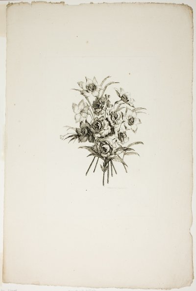 Mazzo con narcisi, dalla Collezione di diversi mazzi di fiori, inventati e disegnati da Jean Pillement e incisi da P. C. Canot da Pierre Charles Canot