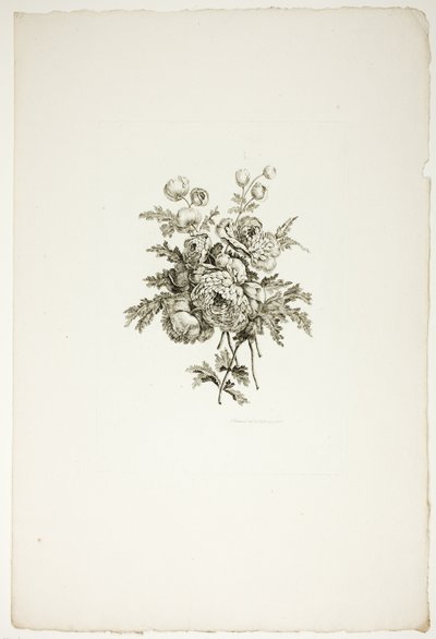 Bouquet con peonie, da una raccolta di diversi mazzi di fiori, inventati e disegnati da Jean Pillement e incisi da P. C. Canot da Pierre Charles Canot