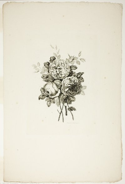 Bouquet con Rose, dalla Collezione di Diversi Mazzi di Fiori, Inventato e Disegnato da Jean Pillement e Inciso da P. C. Canot da Pierre Charles Canot