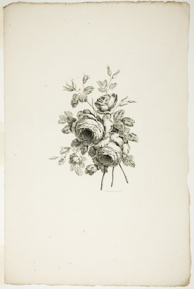 Bouquet con rose, dalla Collezione di diversi bouquet di fiori, inventati e disegnati da Jean Pillement e incisi da P. C. Canot da Pierre Charles Canot