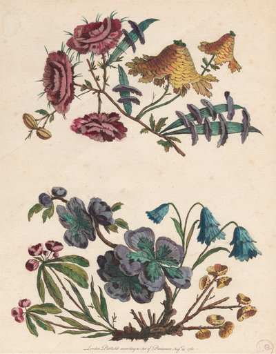 Due rami di fiori immaginari da Pierre Charles Canot