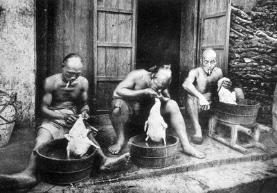Piume di anatra cinese, Saigon e dintorni, fot. Dieulefils, c. 1900 da Pierre Dieulefils