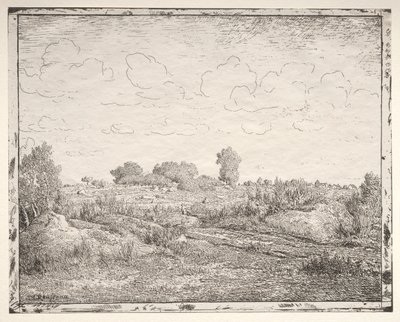La Plaine de la Plante à Biau da Pierre Etienne Theodore Rousseau