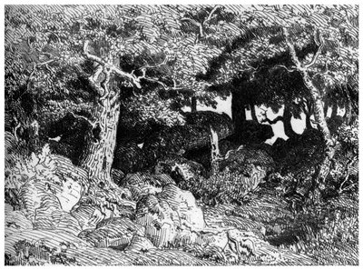 Les Chenes de Roche, c. 1832-1860, 1924 da Pierre Etienne Theodore Rousseau
