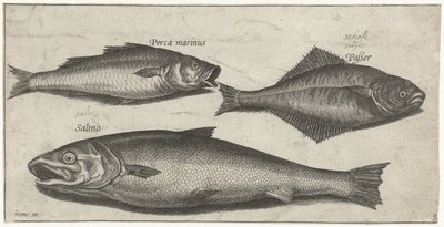 Spigola, sogliola e salmone da Pierre Firens