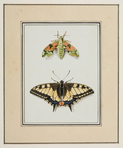 Sfinge e macaone, c.1755-65 da Pierre Francois Ledoulx
