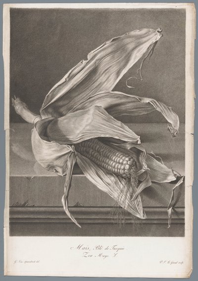 Mais da Pierre François Legrand