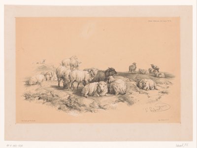 Studio di un gregge di pecore (Dierstudies van Cooper) da Pierre Frédéric Lehnert