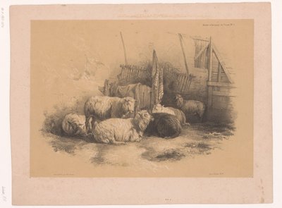 Studio di un gregge di pecore presso un cancello da Pierre Frédéric Lehnert